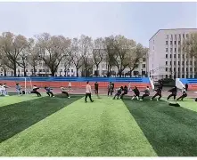 冷静与激情交织!滚球预测完美收官 冷静与激情交织!滚球预测完美收官