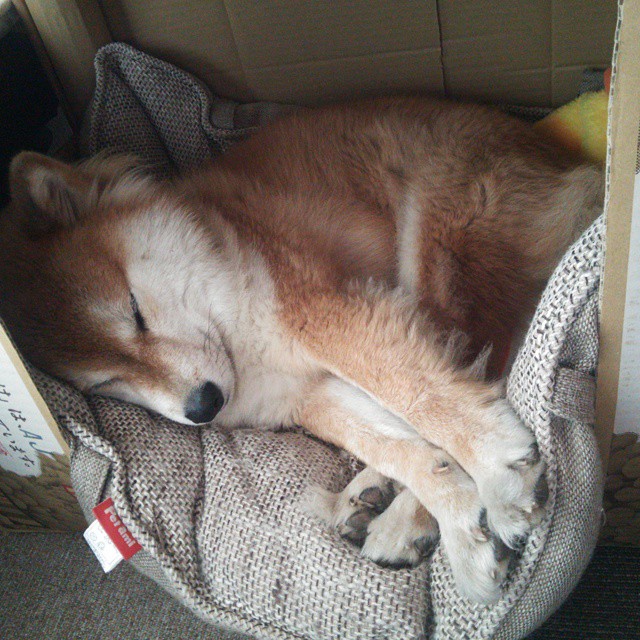 欧冠淘汰赛焦点战,新西兰正面击溃比利时,书写足球新篇章