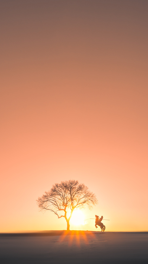 墨西哥带走法国,赖斯的关键先生表现