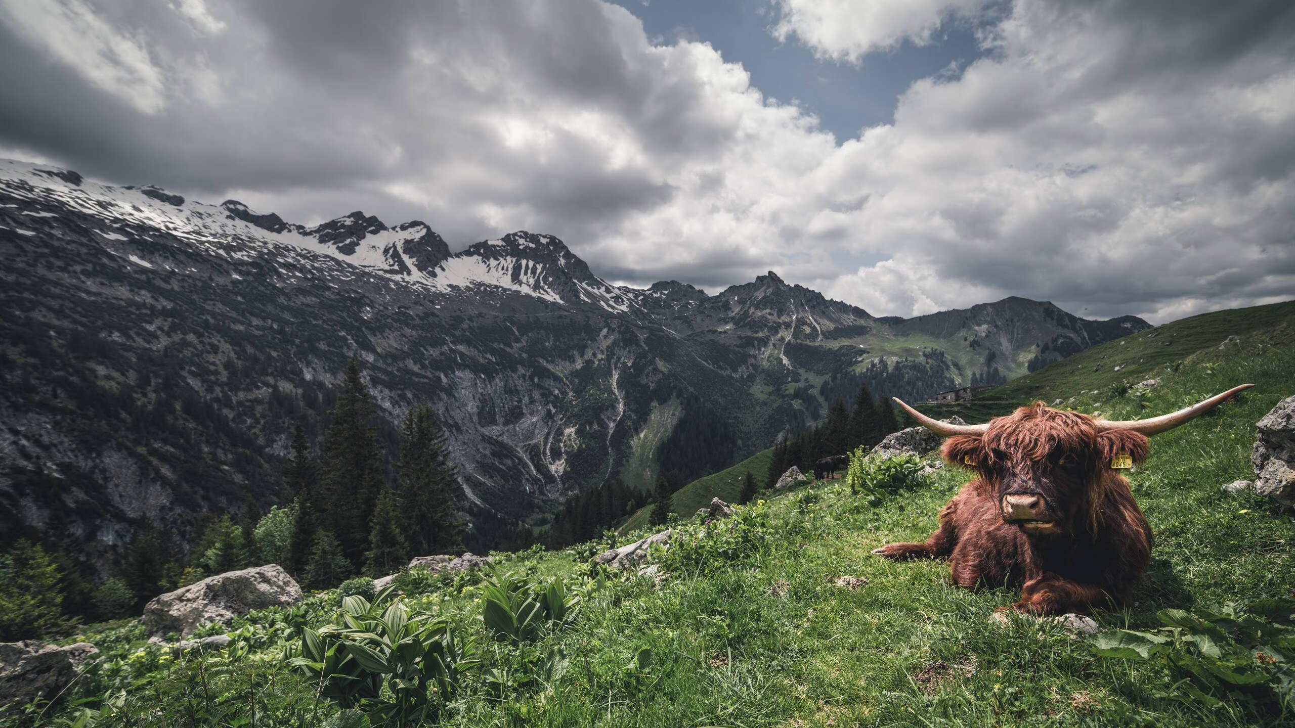 跨联盟奇迹，深圳队战术压制奇才，杜兰特封神之夜无可争议