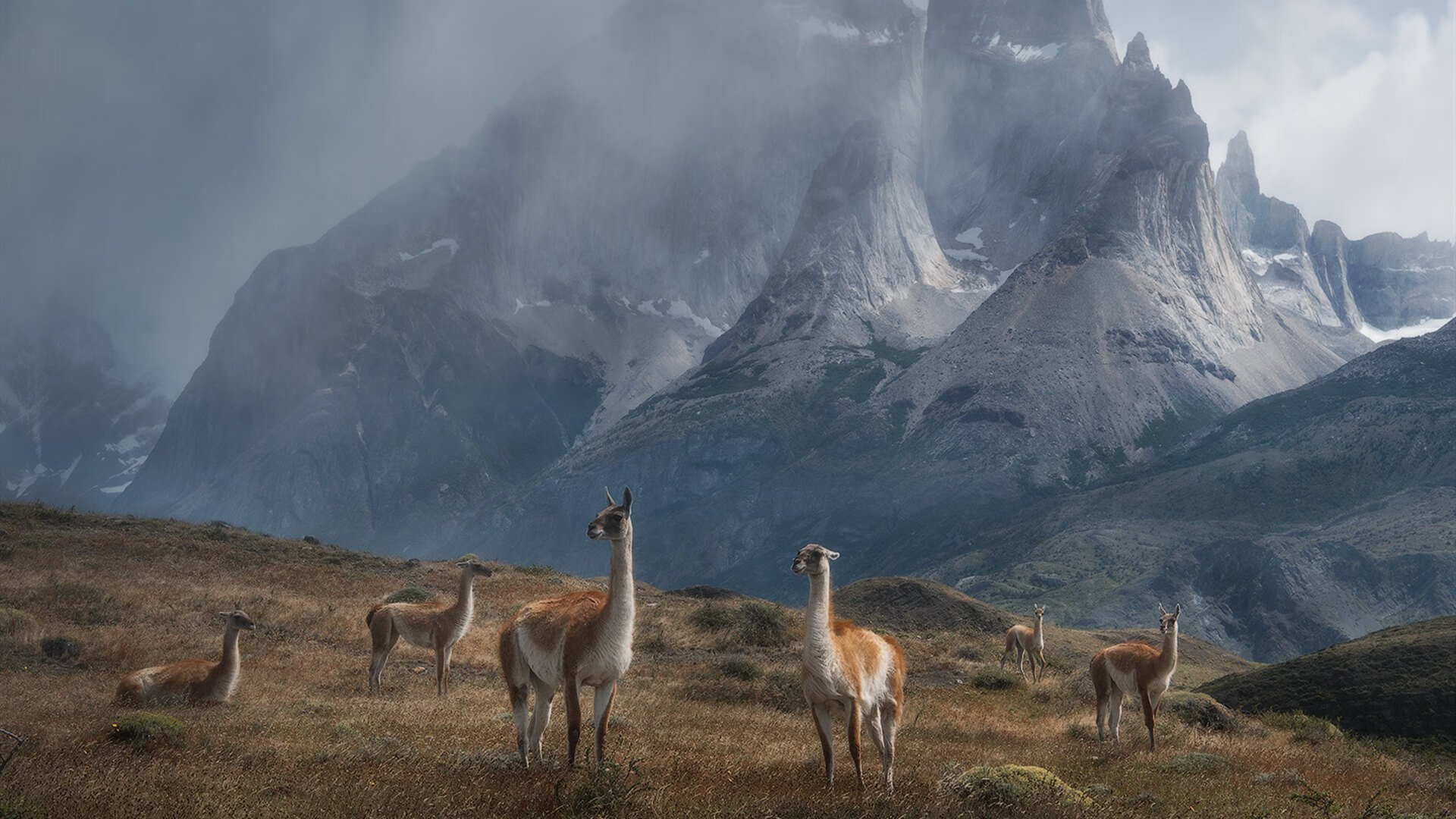 铁血对青春，2026世界杯篮球式攻防生死战，步行者式坚韧击溃雷霆风暴