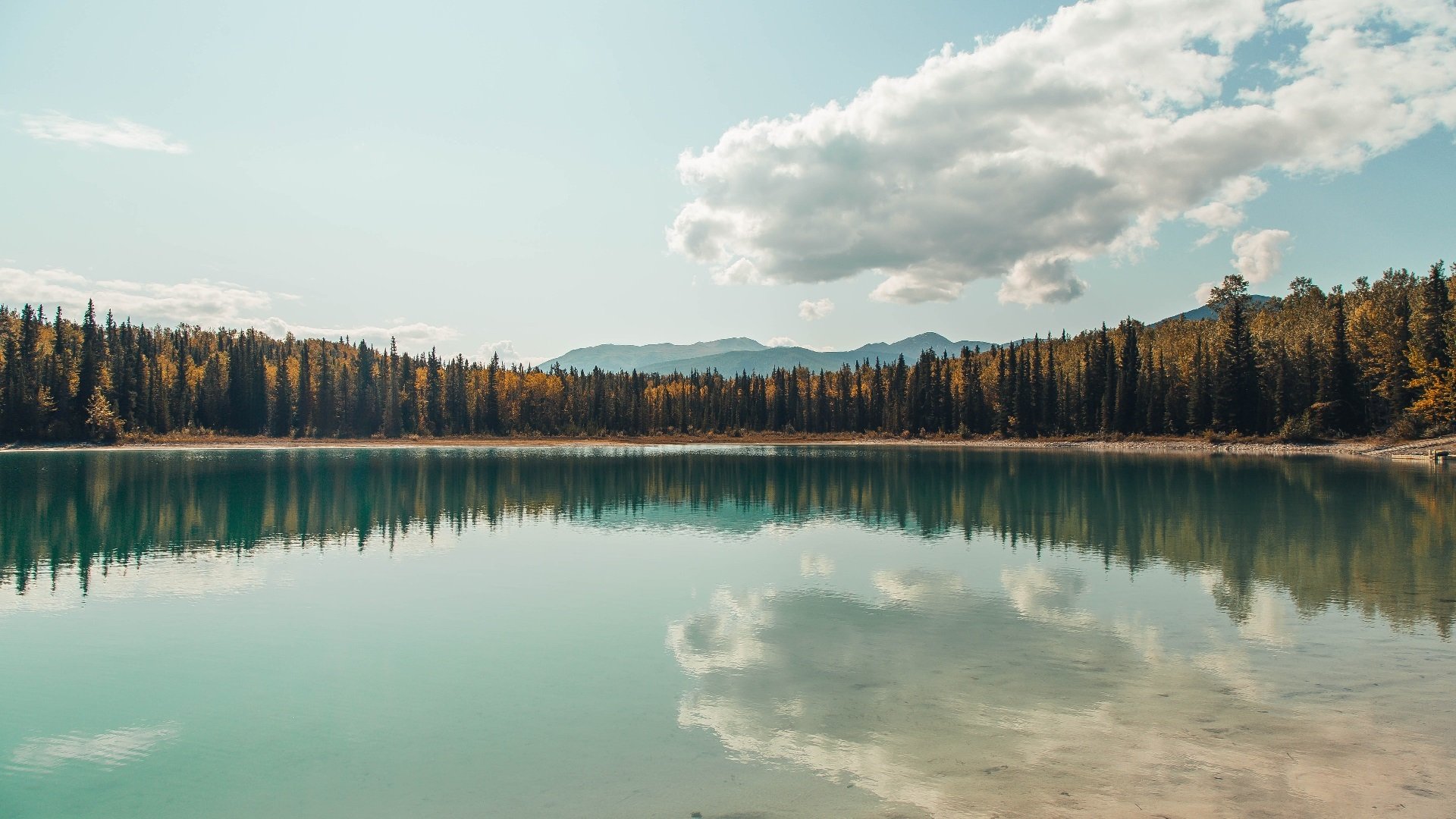 平行时空的交汇点，当广东队一波带走猛龙，锡安在欧冠决赛接管比赛