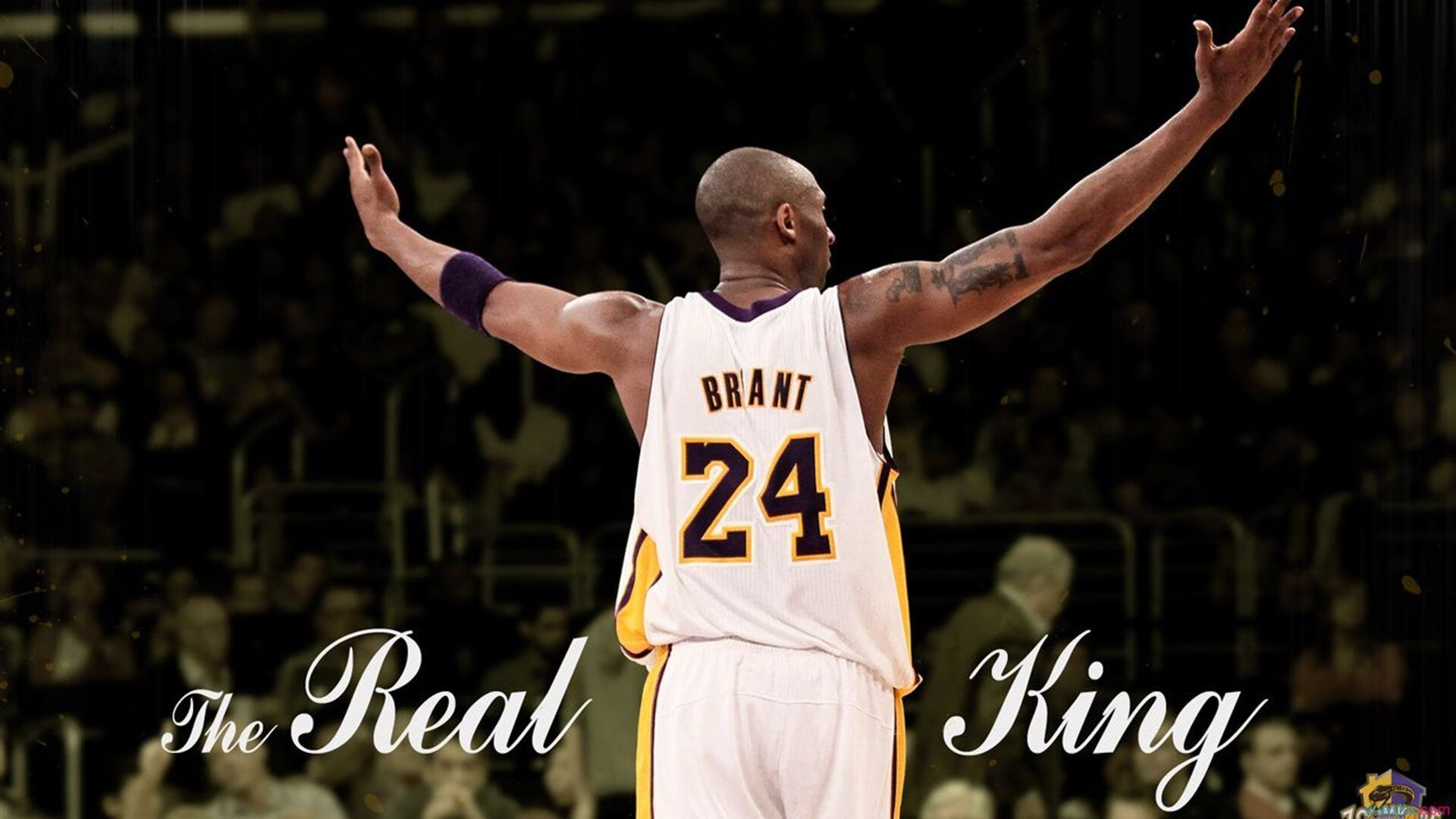 禁区之约，穿越者厄德高的三分雨