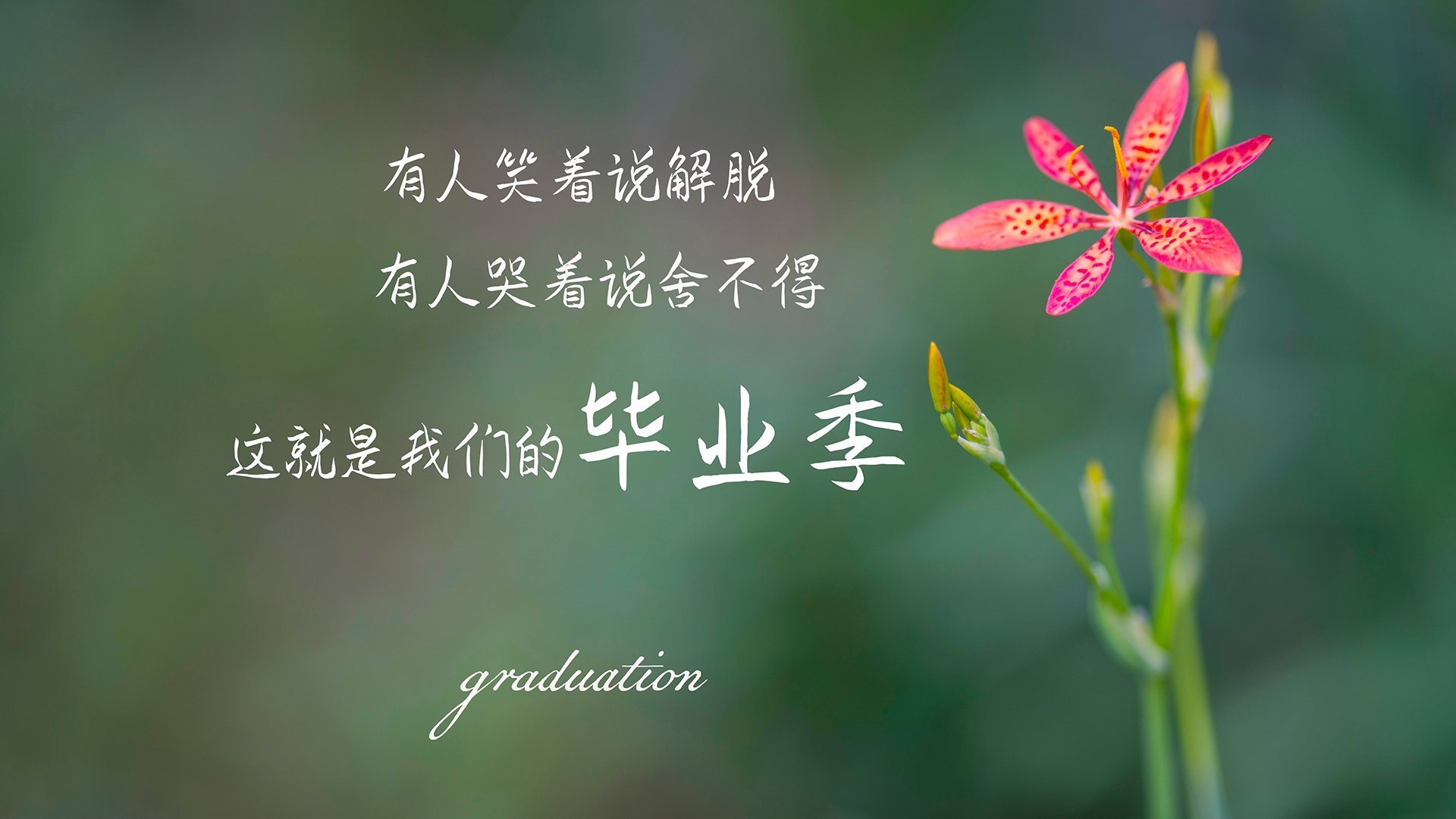 跨洋之战,班凯罗独舞洛杉矶,快船鏖战广厦成就经典