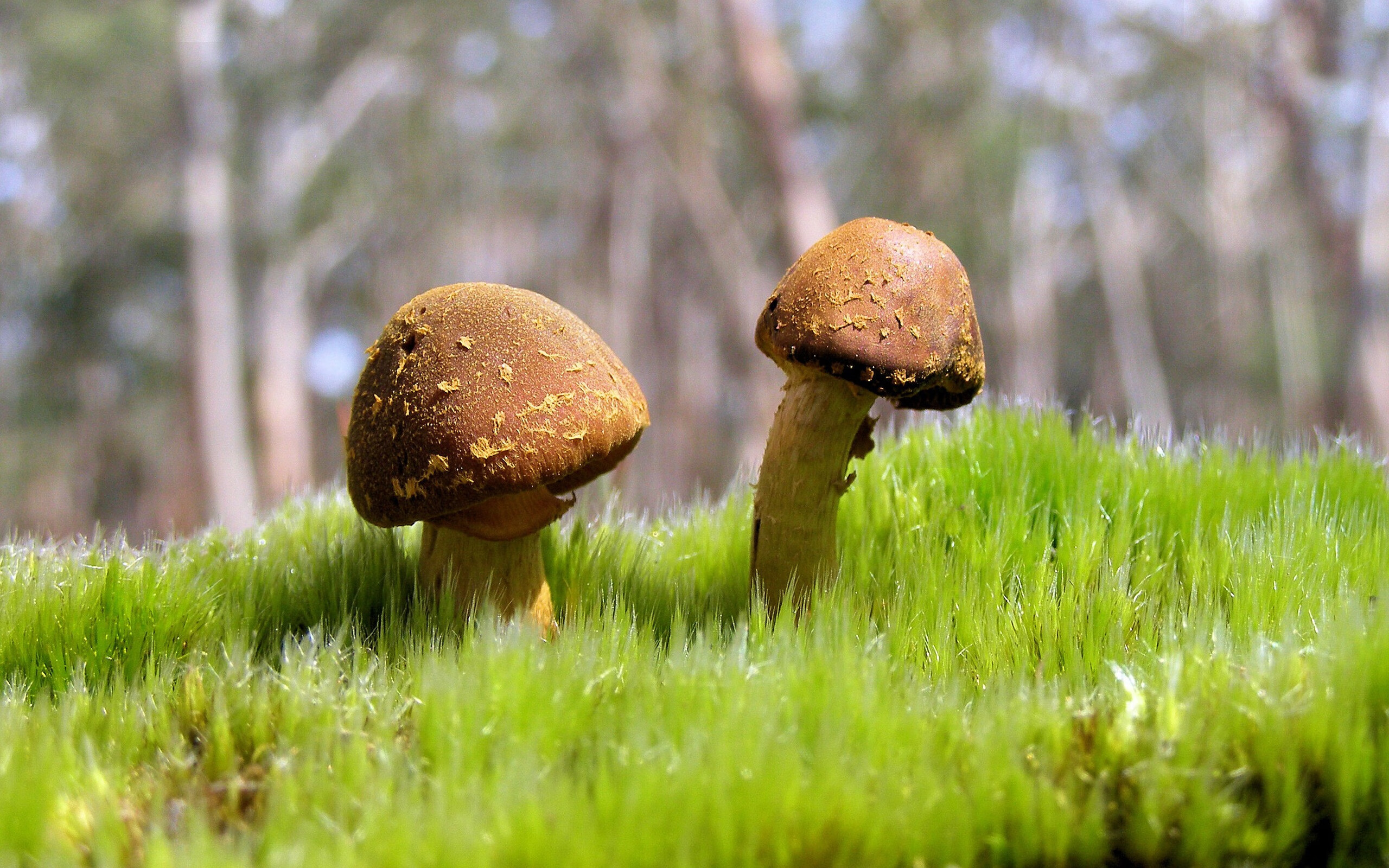 爆冷夜与奥运火种,当卢卡库以孤独接管比赛