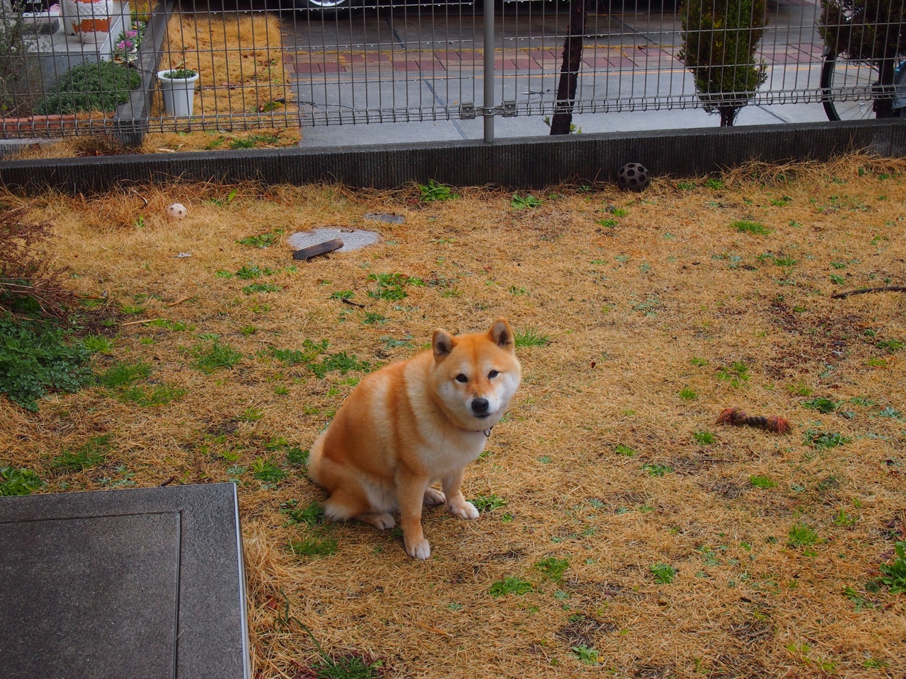 红布与斗牛场，当文班亚马在年度焦点之战中接管比赛