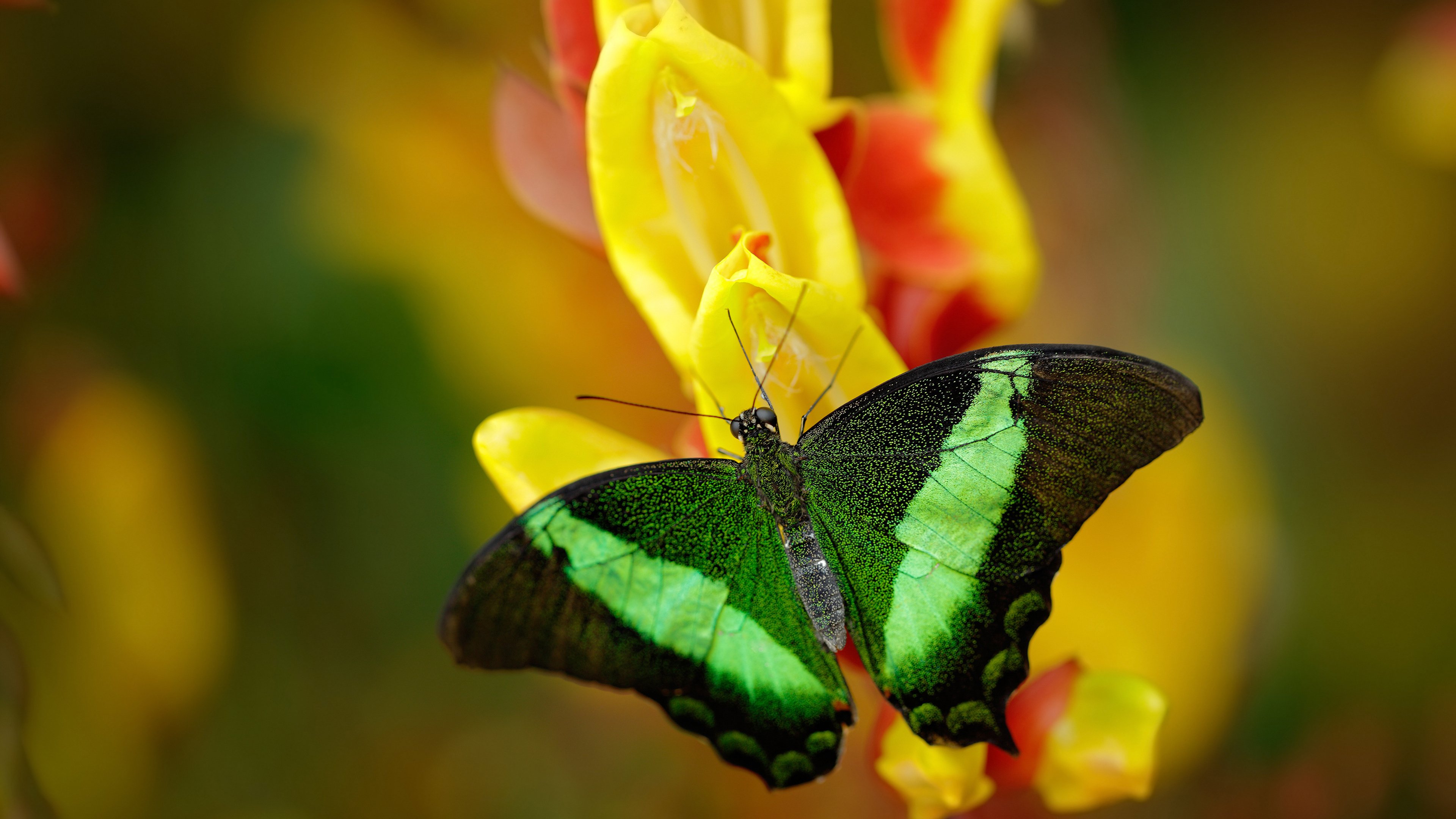 当毕尔巴鄂的战术板遇见波斯铁壁,基耶萨的教科书式破局