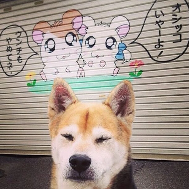 绿茵焰火,日本一波带走卡塔尔,穆勒孤星点亮亚洲夜空