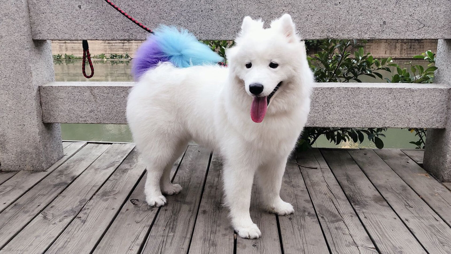 温情铁血!吉林队终结掘金,浓眉关键时刻站出来接管比赛