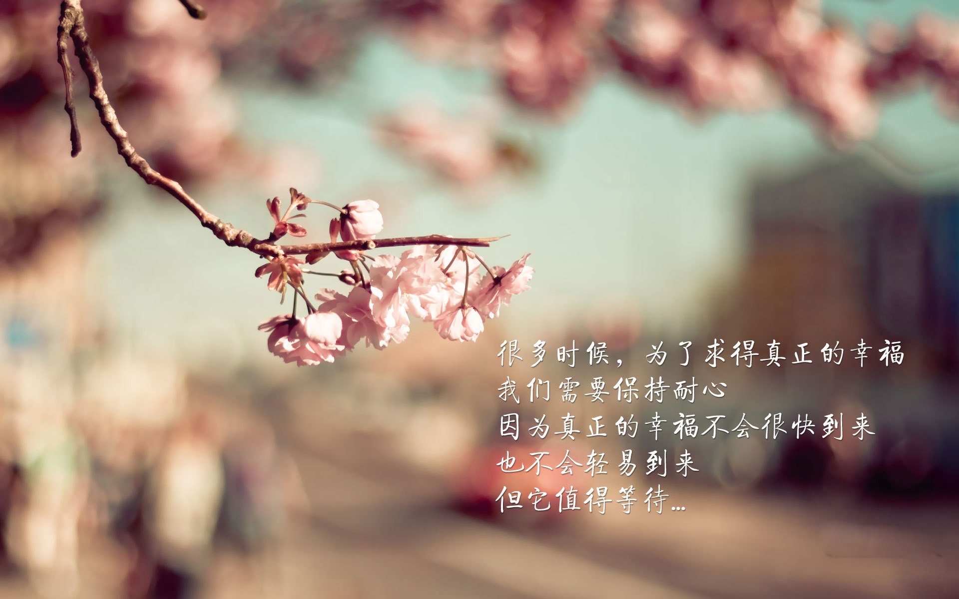 D组暗流，当罗马尼亚撕碎葡萄牙的黄金甲，费利克斯完成了最后的救赎