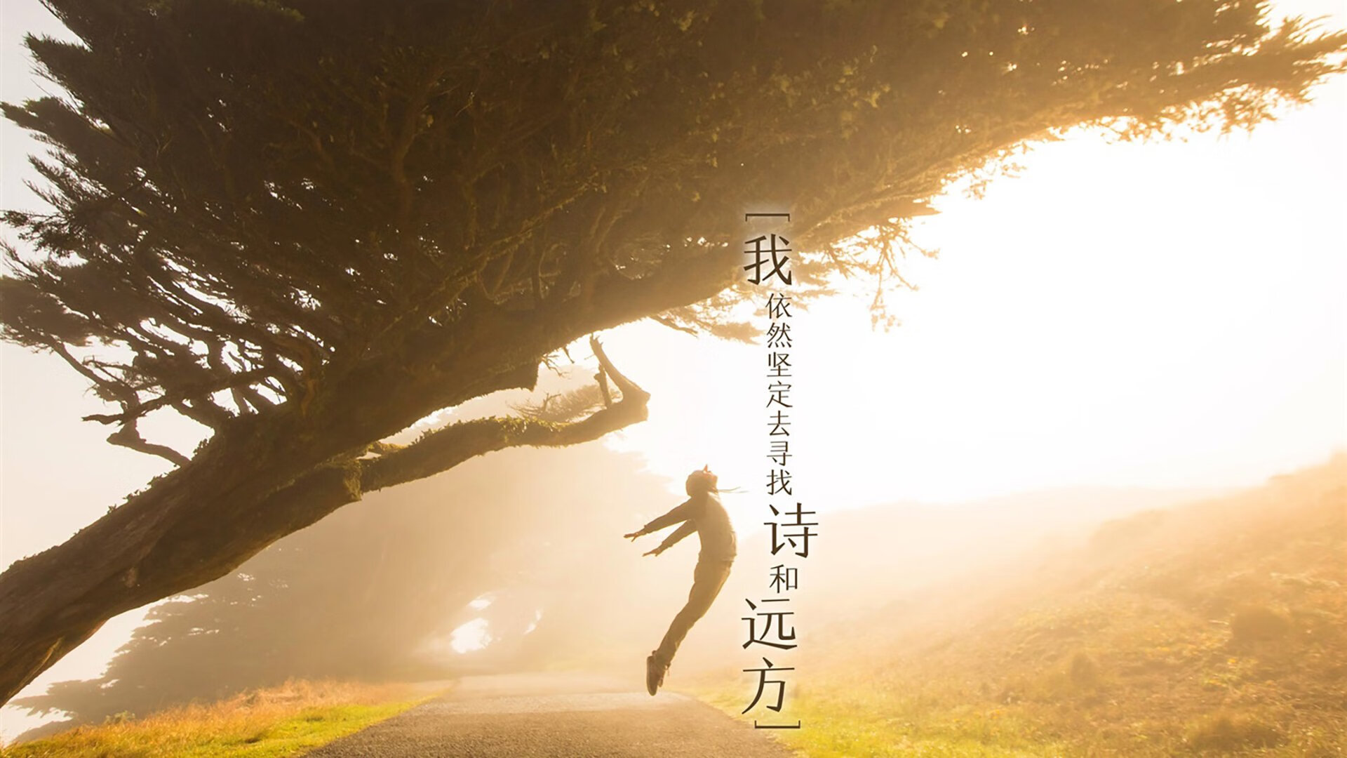 孤星闪耀,2026世界杯A组焦点战,奥斯梅恩与罗马尼亚的默契交响,击碎哥伦比亚的南美荣光